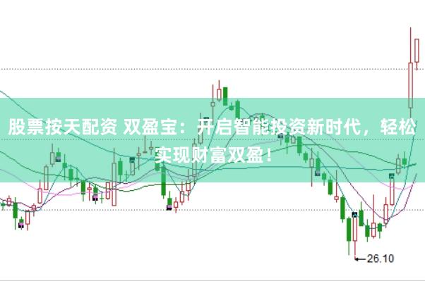 股票按天配资 双盈宝：开启智能投资新时代，轻松实现财富双盈！