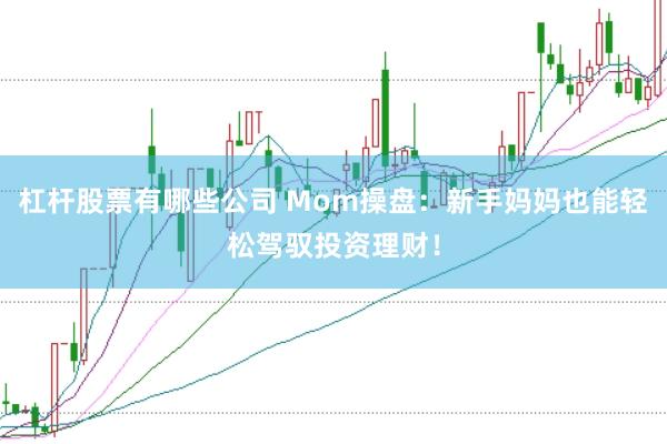 杠杆股票有哪些公司 Mom操盘：新手妈妈也能轻松驾驭投资理财！