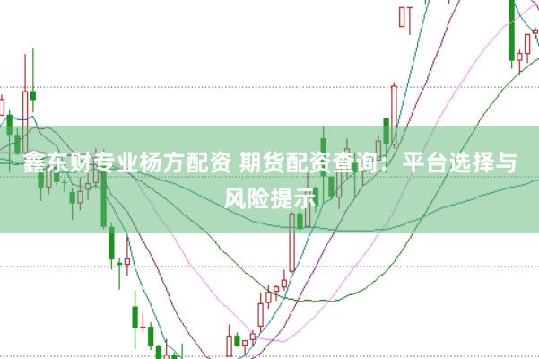 鑫东财专业杨方配资 期货配资查询：平台选择与风险提示