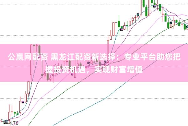 公赢网配资 黑龙江配资新选择：专业平台助您把握投资机遇，实现财富增值