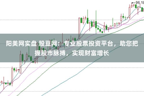 阳美网实盘 股豆网：专业股票投资平台，助您把握股市脉搏，实现财富增长