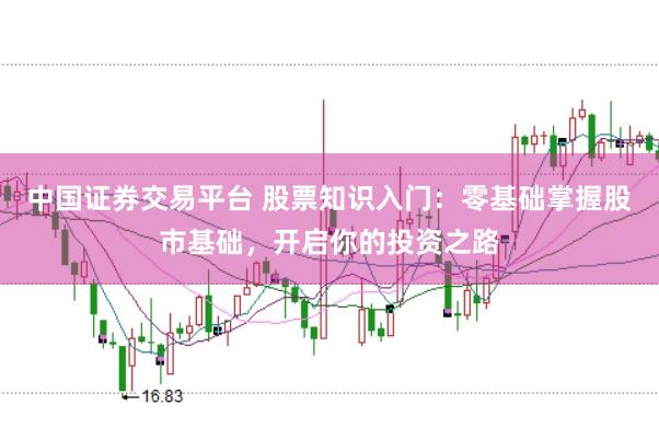 中国证券交易平台 股票知识入门：零基础掌握股市基础，开启你的投资之路
