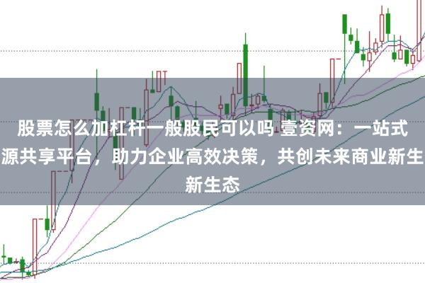 股票怎么加杠杆一般股民可以吗 壹资网：一站式资源共享平台，助力企业高效决策，共创未来商业新生态