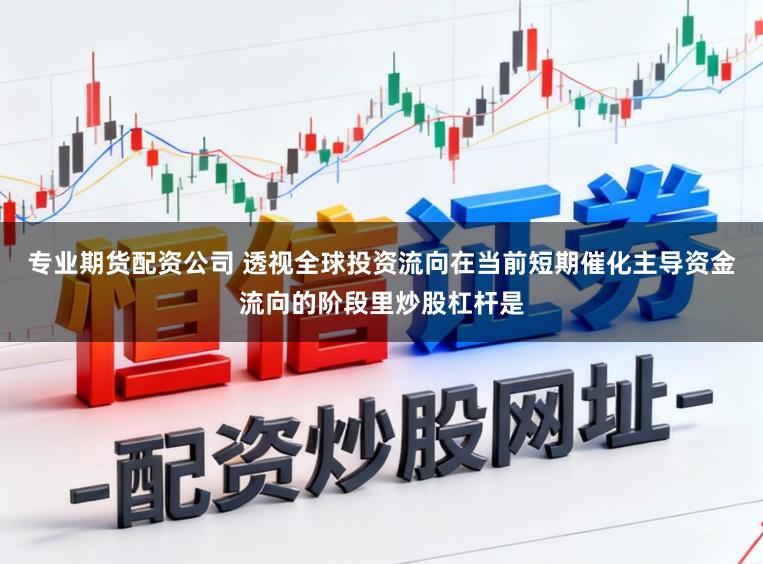 专业期货配资公司 透视全球投资流向在当前短期催化主导资金流向的阶段里炒股杠杆是