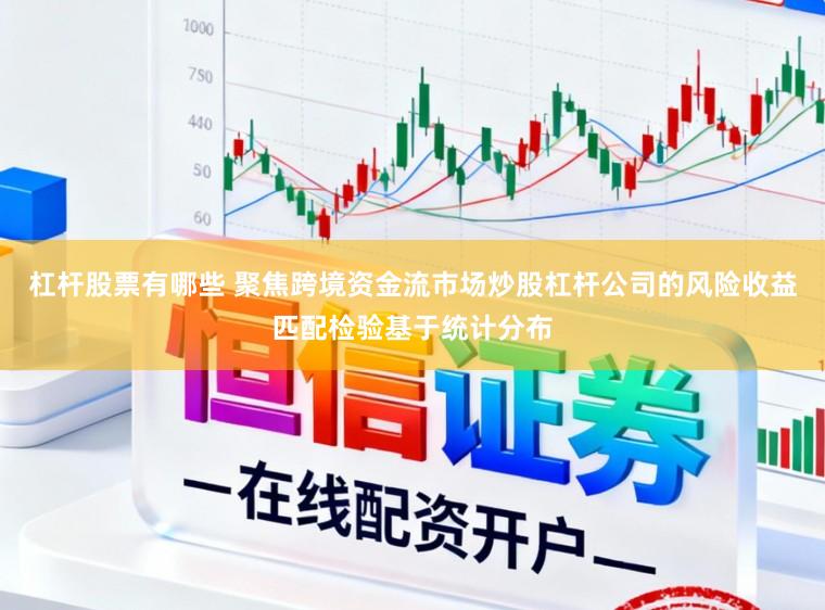 杠杆股票有哪些 聚焦跨境资金流市场炒股杠杆公司的风险收益匹配检验基于统计分布