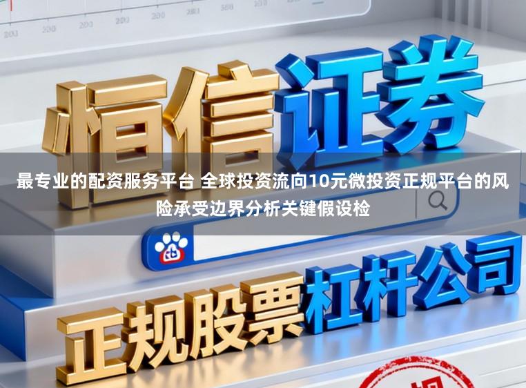 最专业的配资服务平台 全球投资流向10元微投资正规平台的风险承受边界分析关键假设检