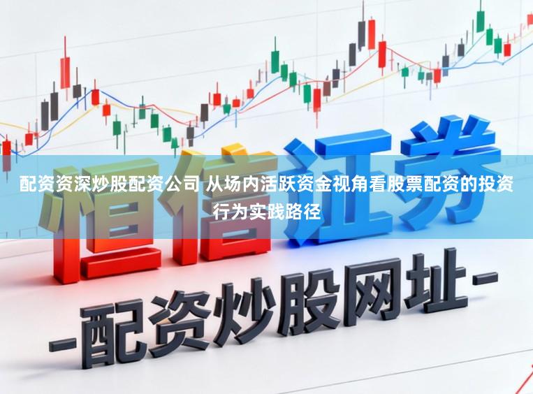 配资资深炒股配资公司 从场内活跃资金视角看股票配资的投资行为实践路径