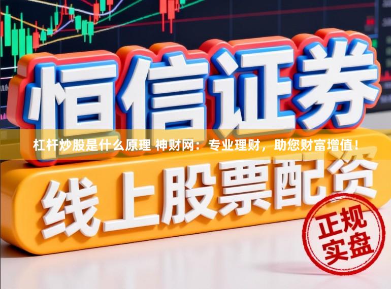 杠杆炒股是什么原理 神财网：专业理财，助您财富增值！